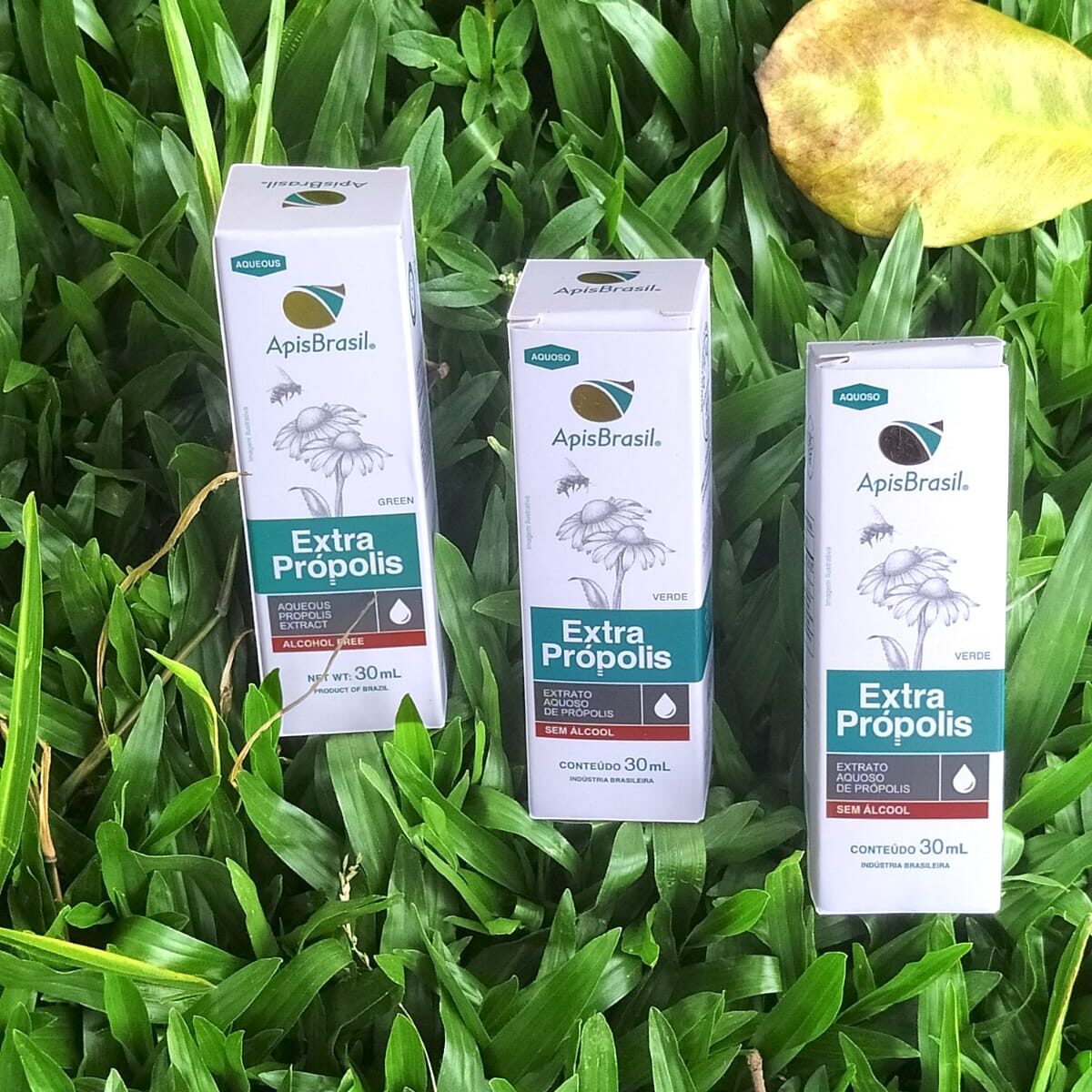 KIT EXTRATO DE PRÓPOLIS VERDE CONTA GOTAS AQUOSO (sem álcool)