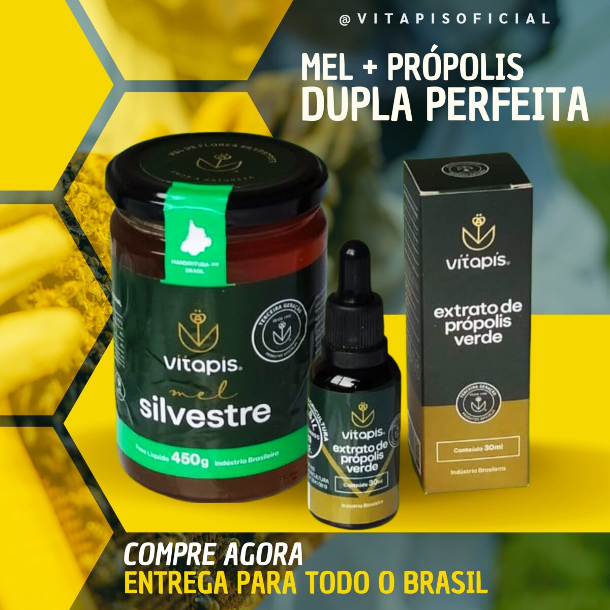 kit Mel de flores silvestres 450g + Extrato de própolis verde conta gotas 30 ml